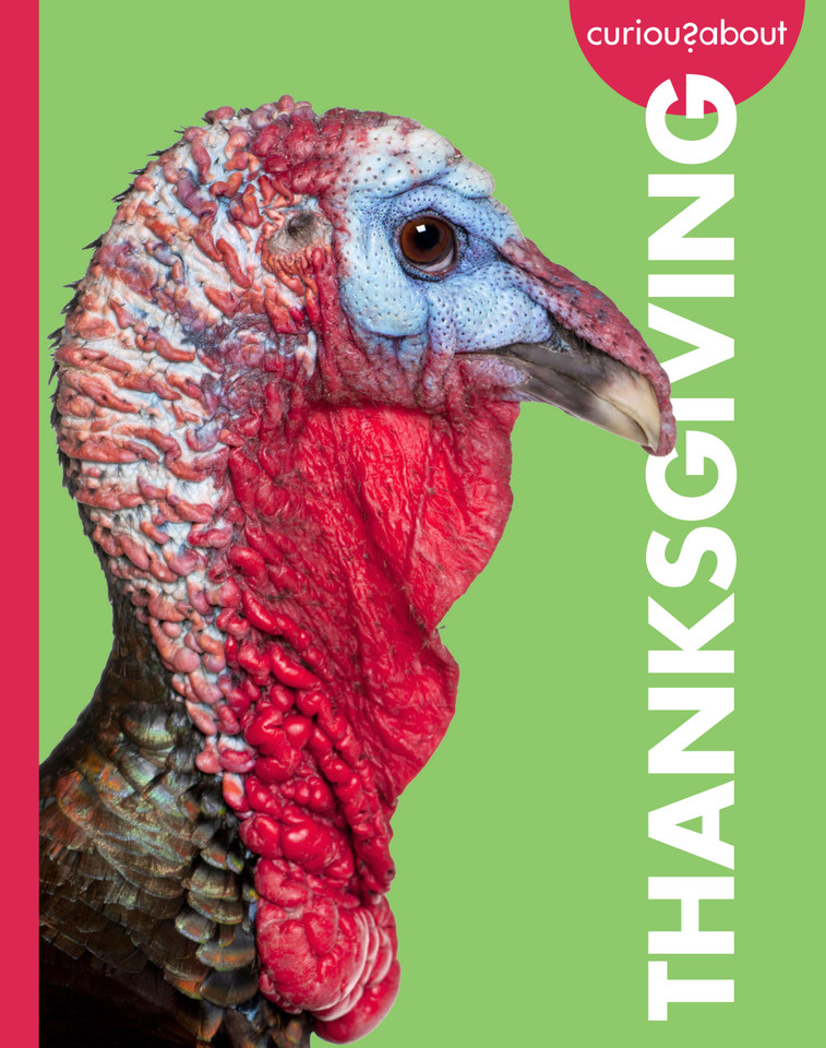 Curious about Thanksgiving (Curious about Holidays) book cover by Elizabeth Kassuelke