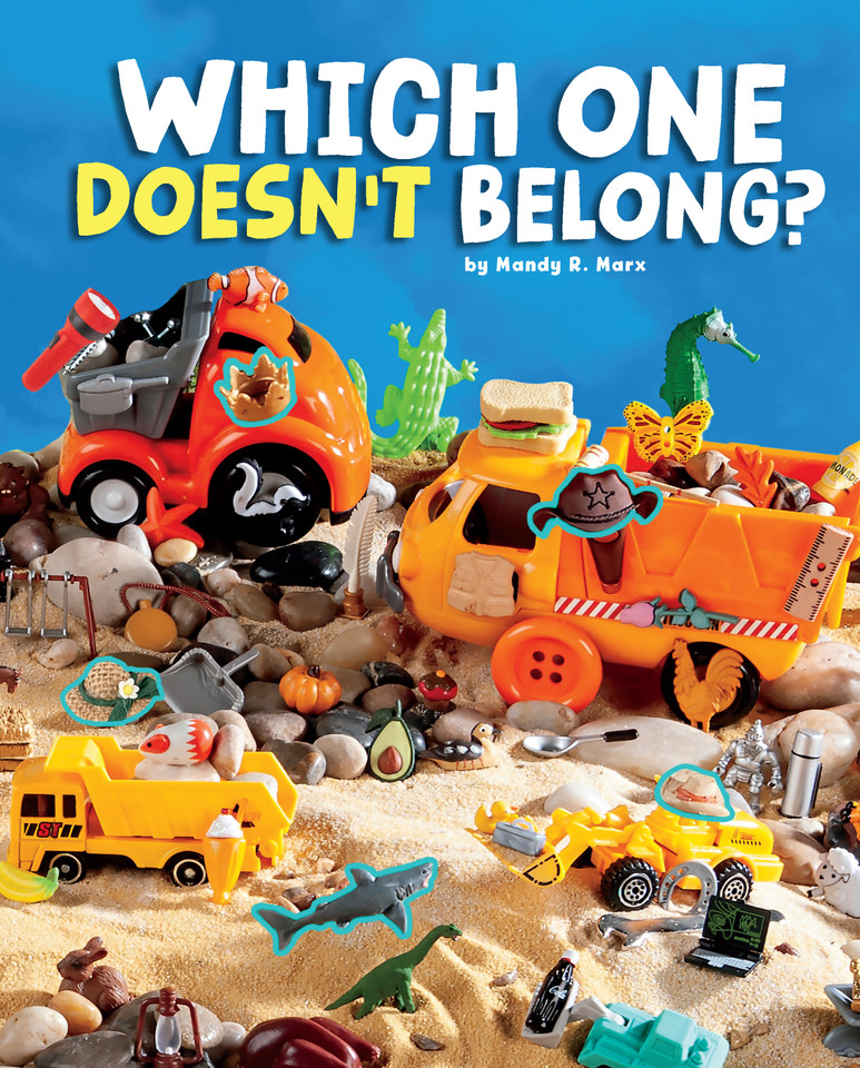 Which One Doesn't Belong? (Can You Find It?) book cover by Mandy R. Marx