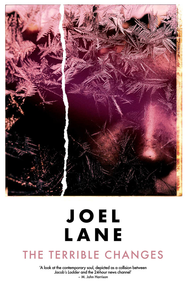 The Terrible Changes book cover by Joel Lane