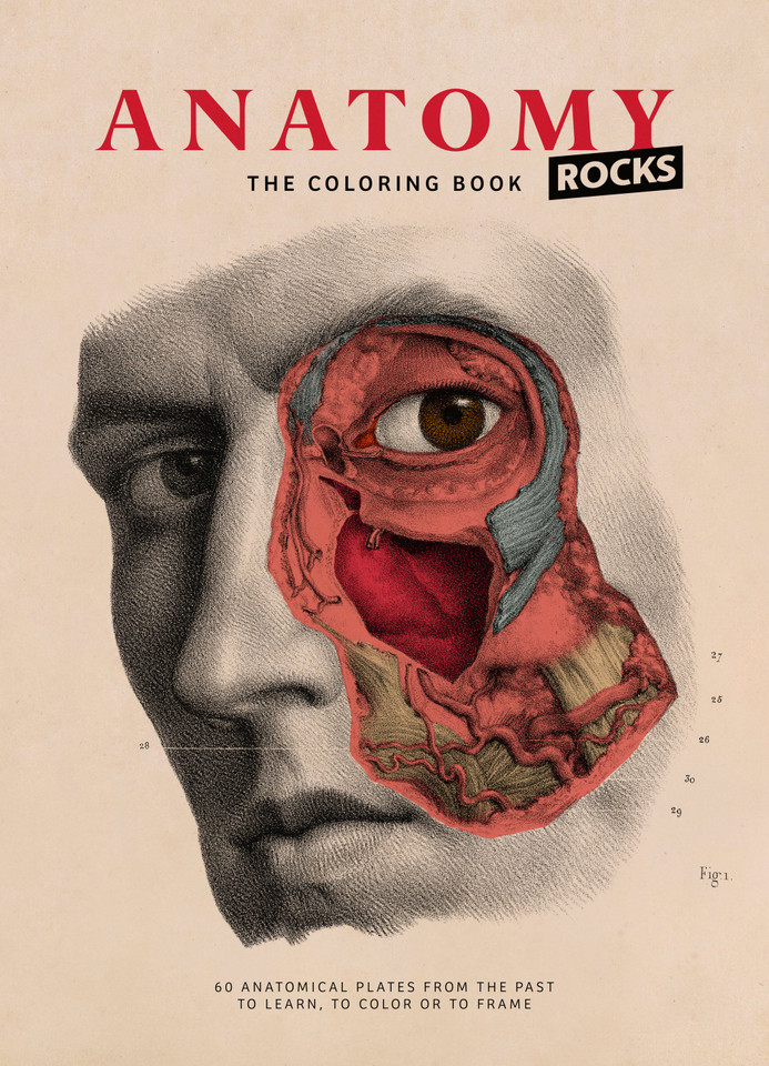 Anatomy Rocks: The Coloring Book [9782374950082]