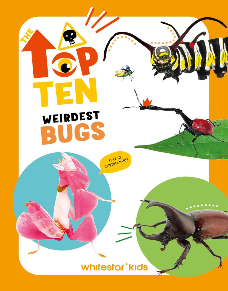 Weirdest Bugs (Top Ten) book cover by Cristina Banfi