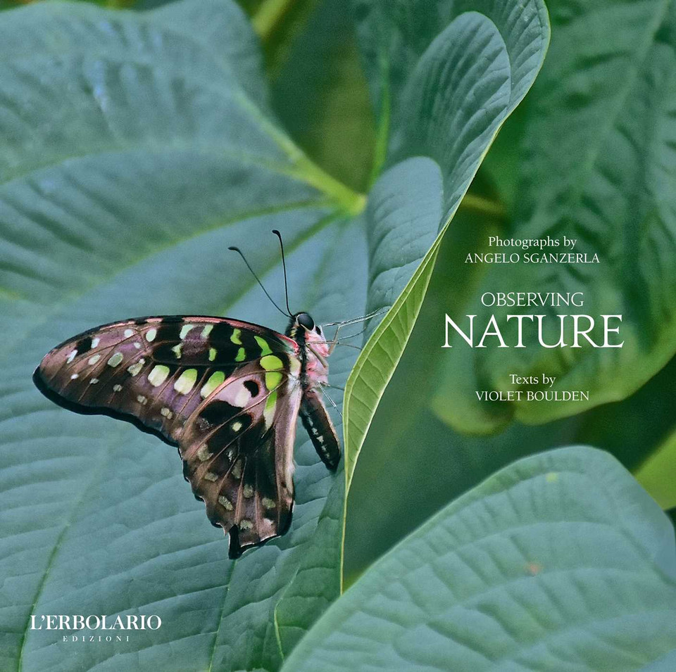 Observing Nature book cover by Violet Boulden