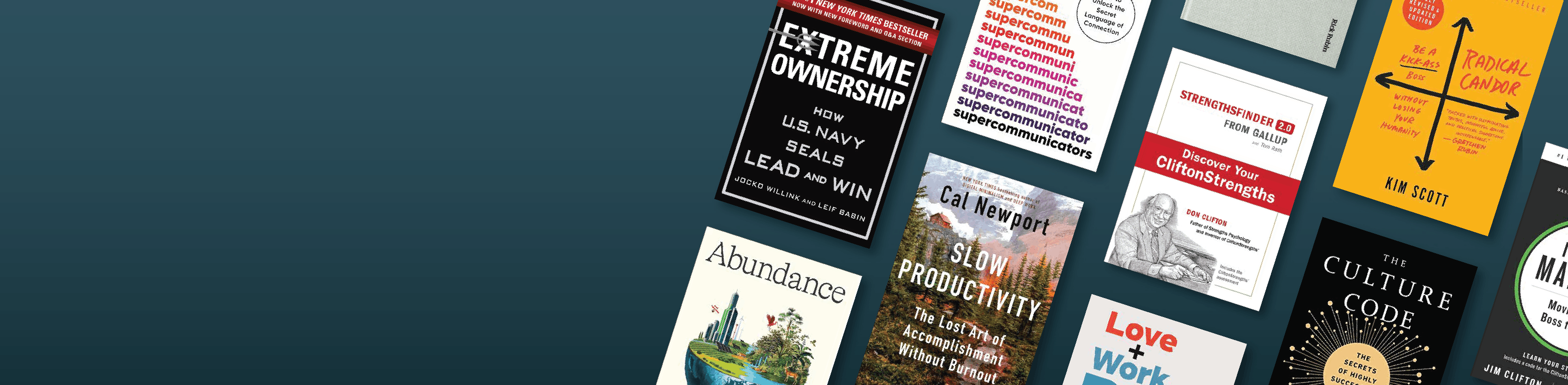 Business books in bulk