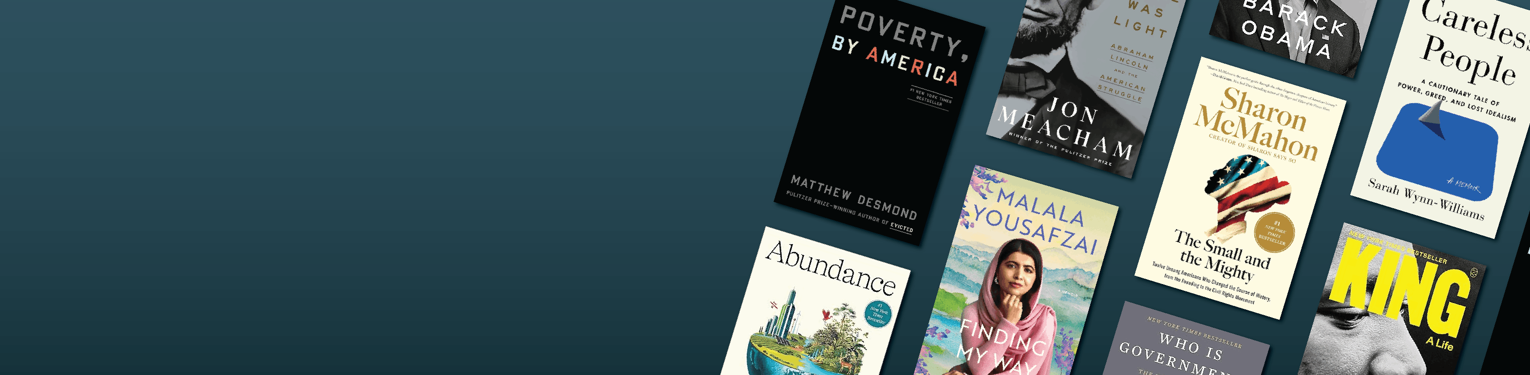 Political Books in bulk