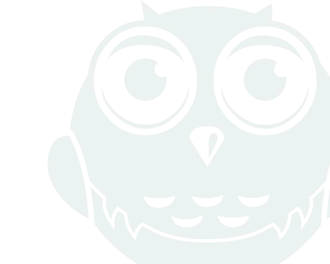 white owl icon