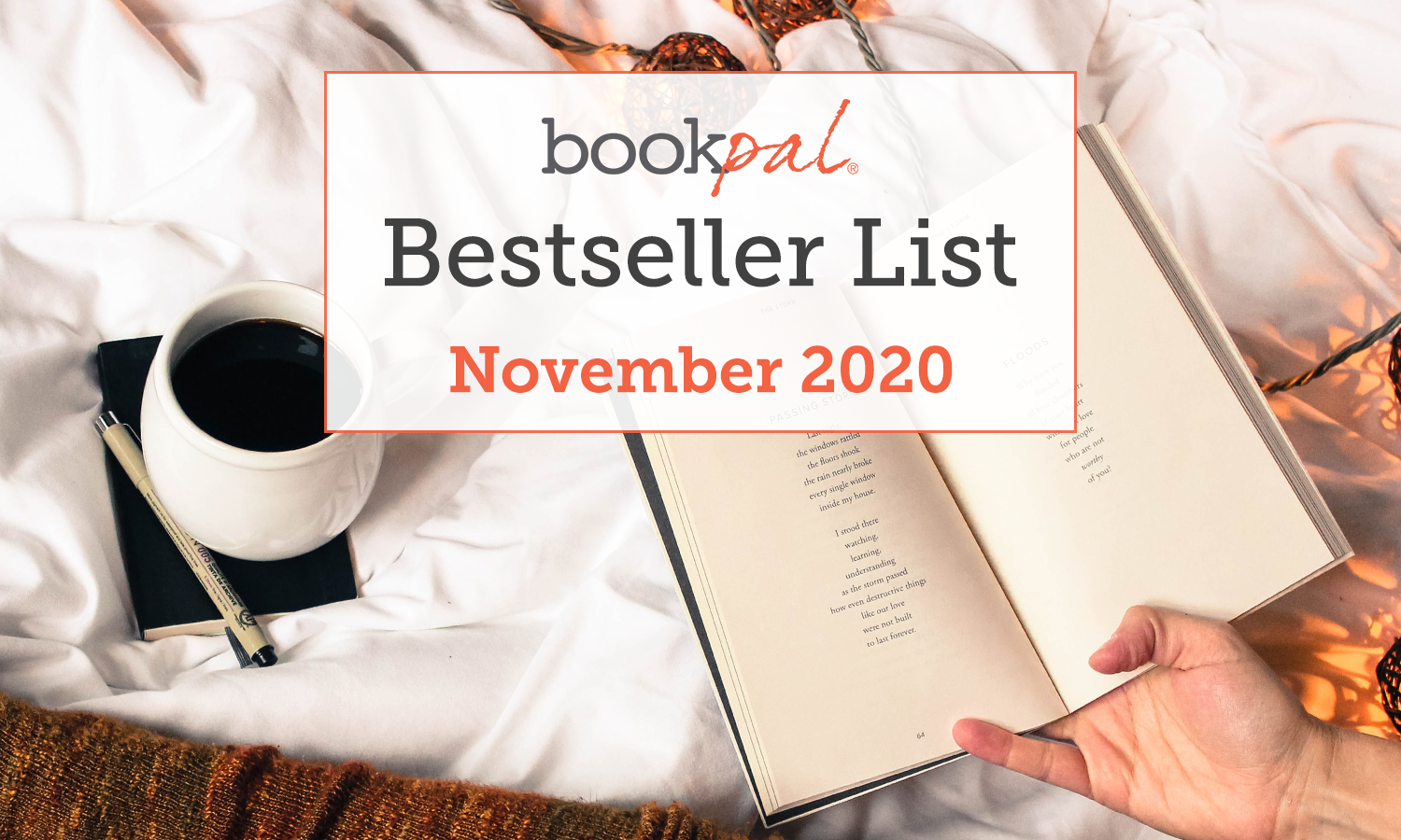 BookPal's Bestseller List: The Best Books of November 2020