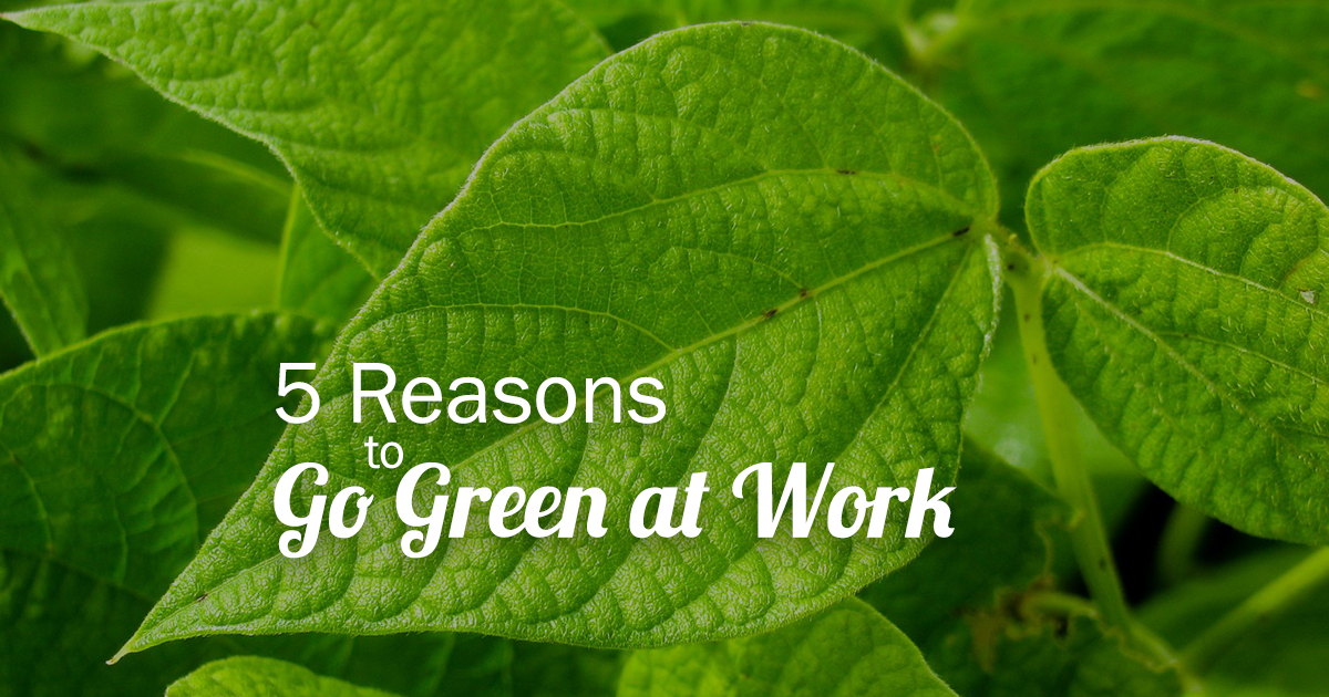 5 reasons to go green at work - BookPal