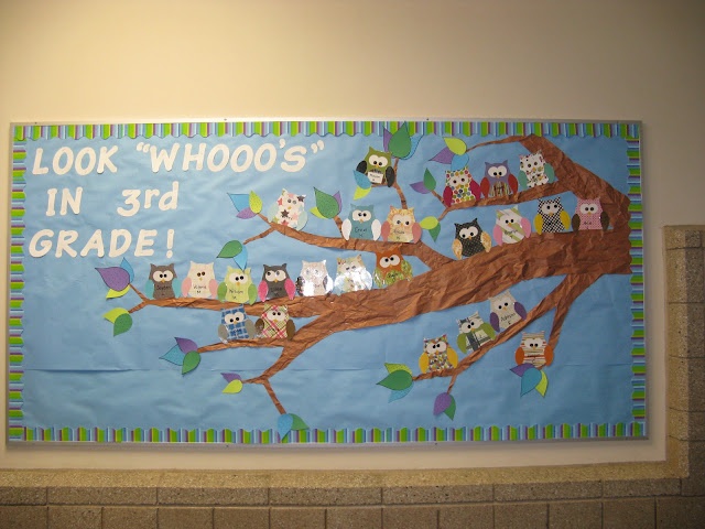 owl bulletin board idea