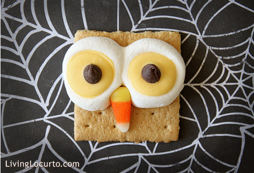 owl smore