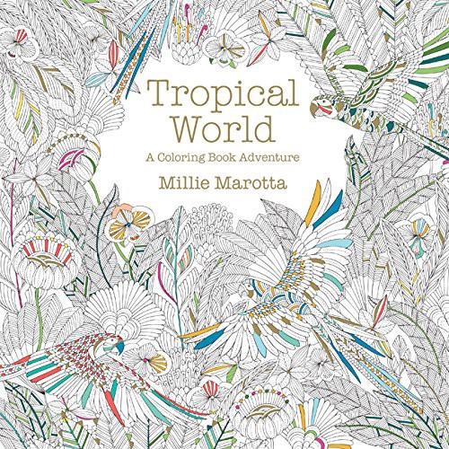 tropical world coloring book wholesale