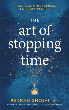 The Art of Stopping Time