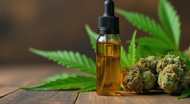 Benefits of Hemp Oil for Skin and Health