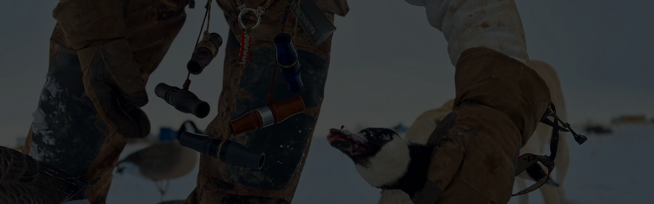 Goose Calls