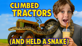 Vintage Tractors, Unexpected Animals, and the Ultimate Passion Fruit Milkshake: An Adventure Waiting to Happen
