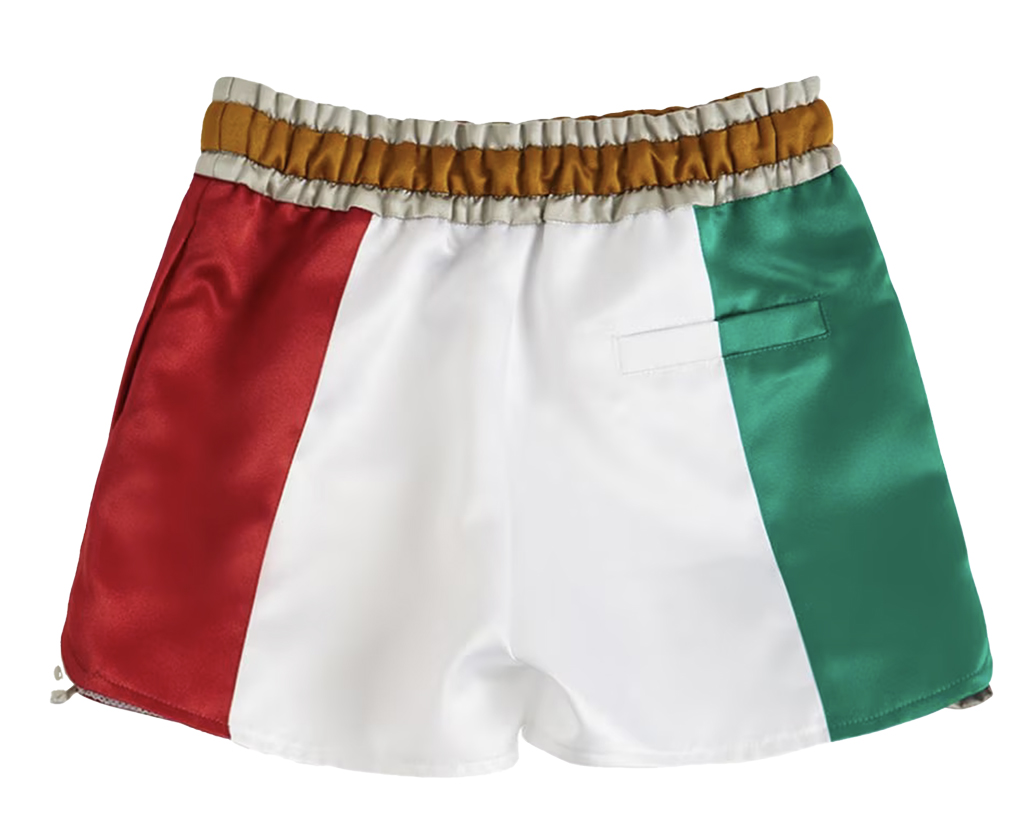 Dolce & Gabbana Italian flag shorts w/ logo
