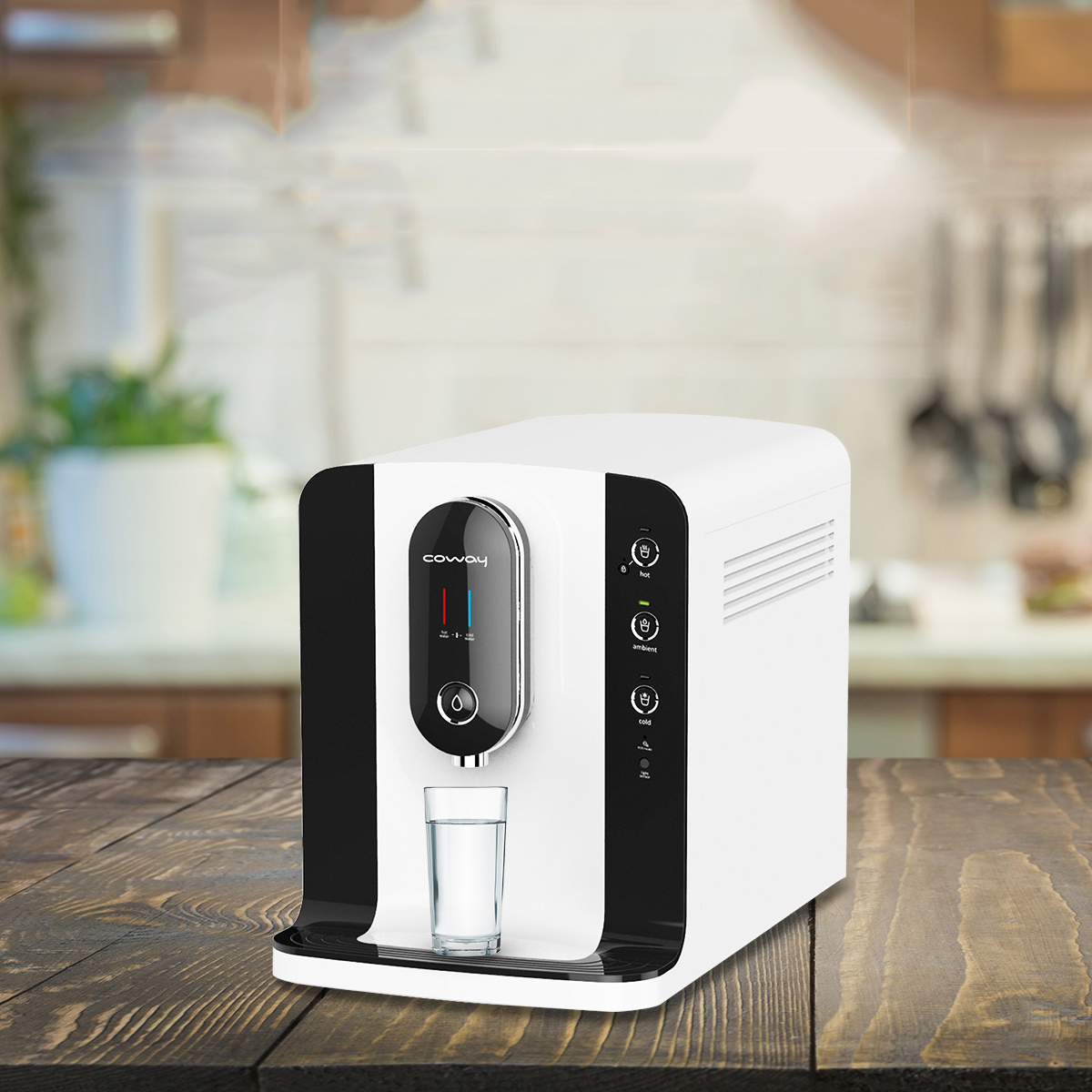 Monso Water Purifier Windy