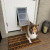 Sheltie Using Endura Flap Dog Door installed in a door