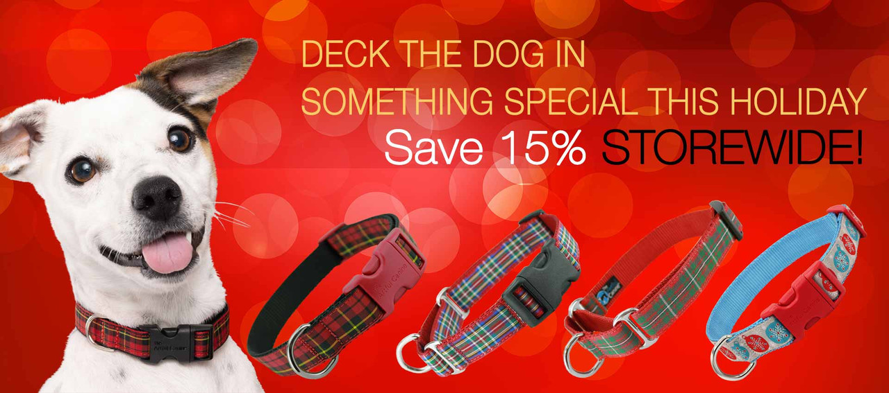 dog collars on sale
