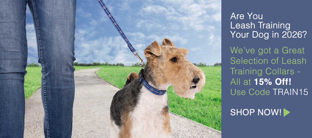 Training Dog Collars, Martingale Dog Collars on Sale