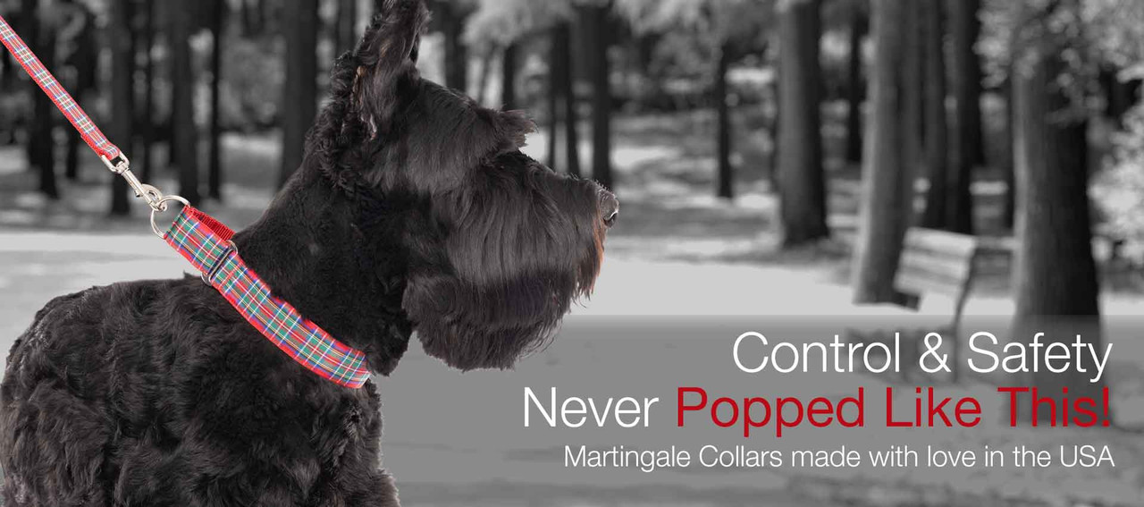 martingale collars for dogs