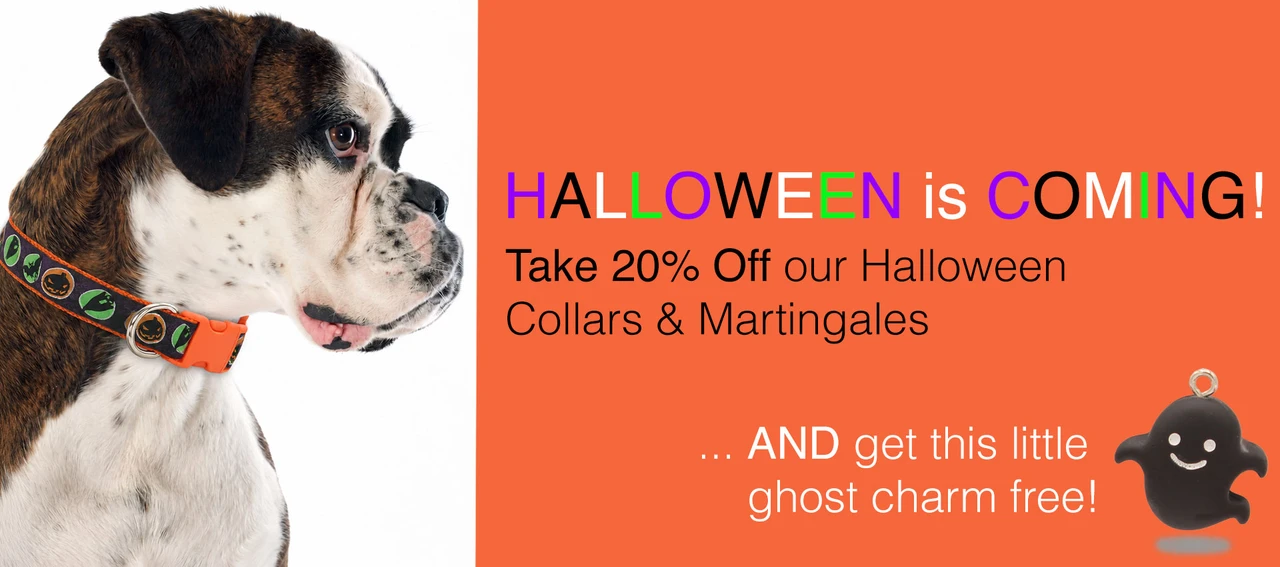 halloween dog collars on sale