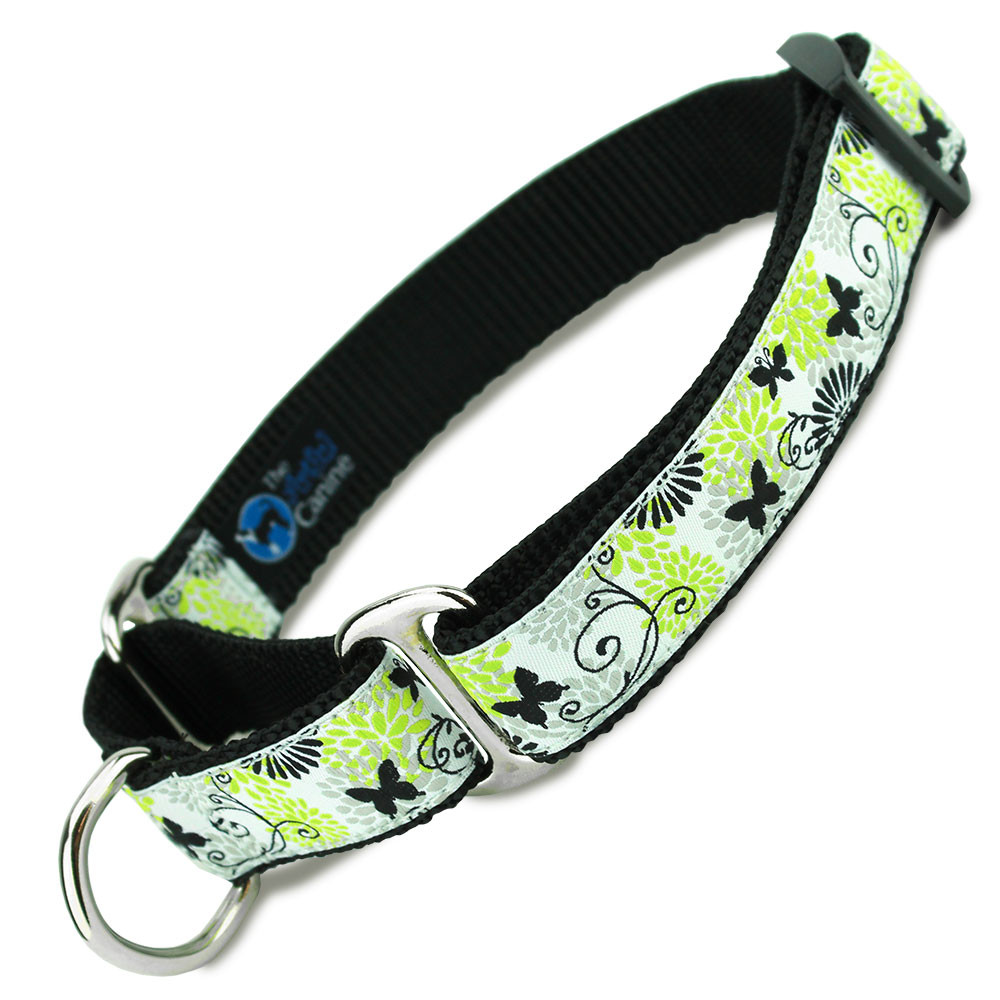 Custom Slipon Martingale Collar with Decorative Fabric