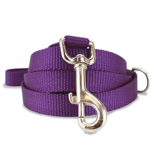 purple dog leashes