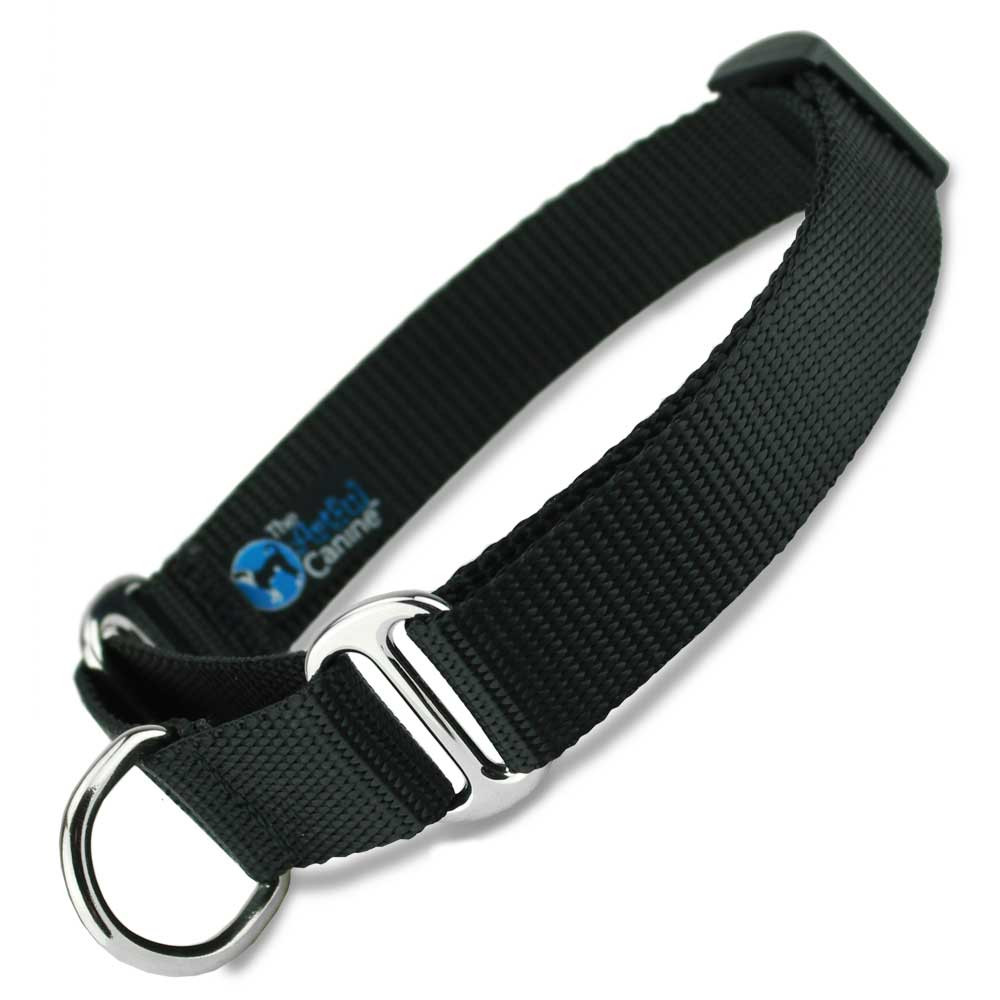 siberian husky malamute mix puppies for sale