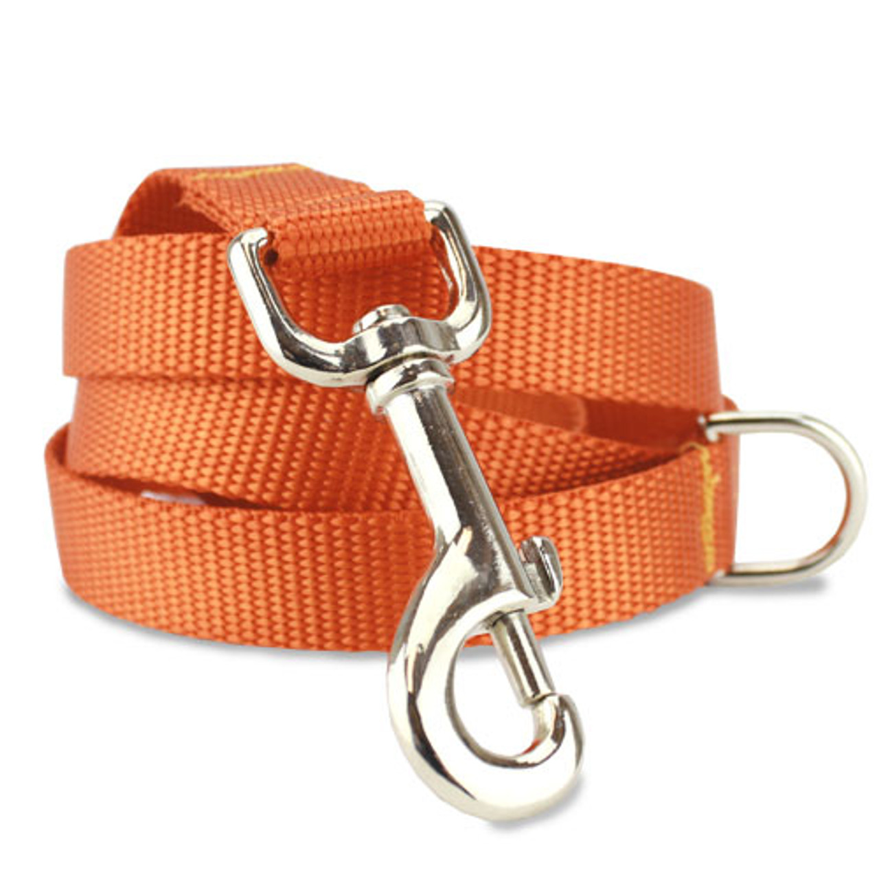 orange dog collar and leash