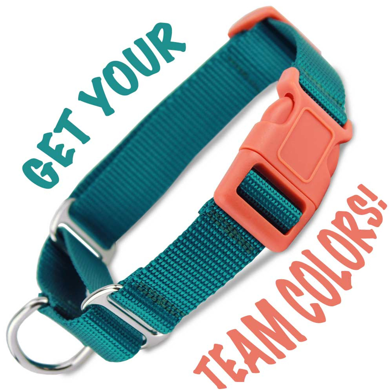 personalized martingale collar with buckle