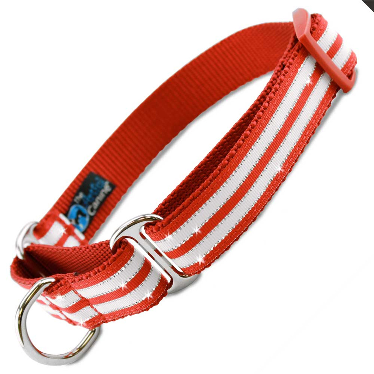 christmas martingale dog collars