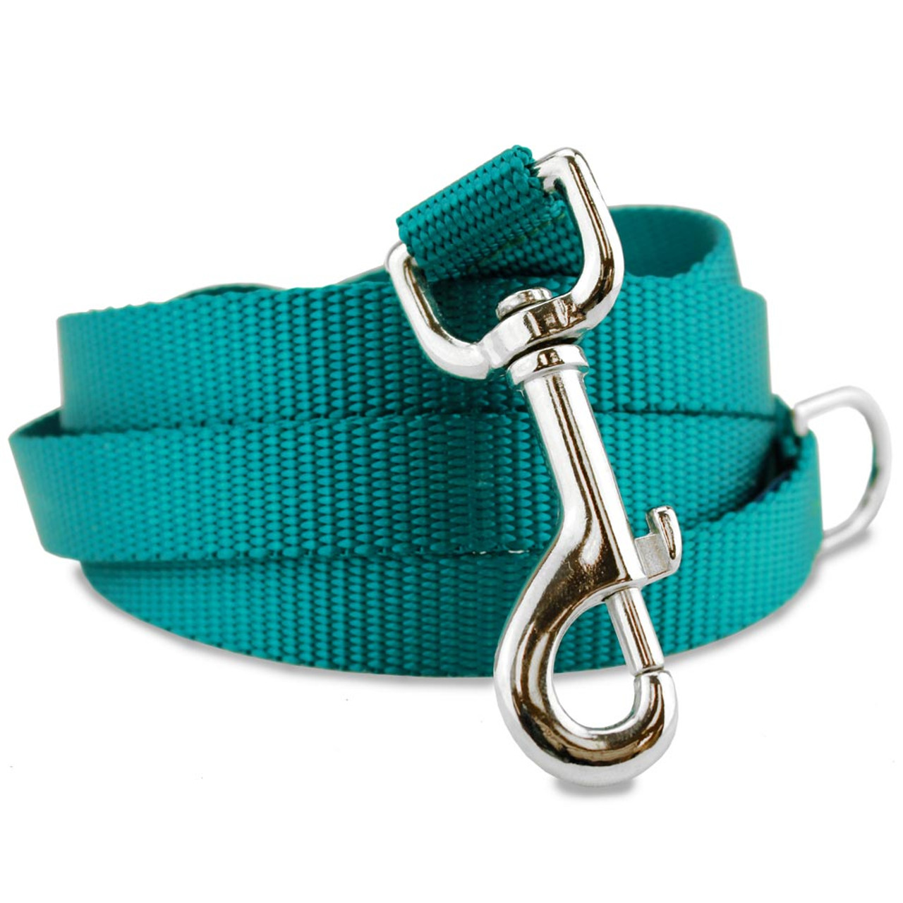 Teal Nylon Dog Leash