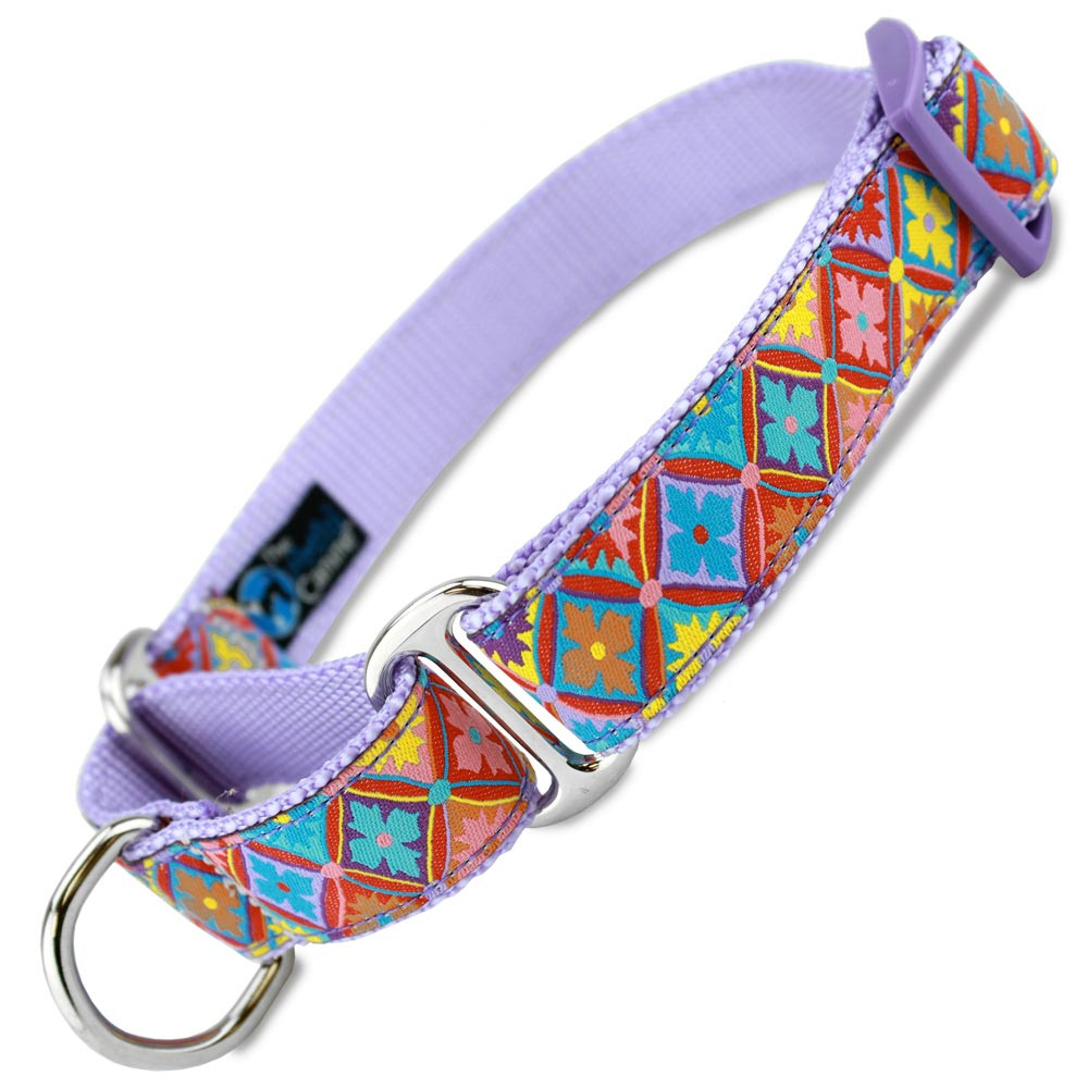colorful dog leashes
