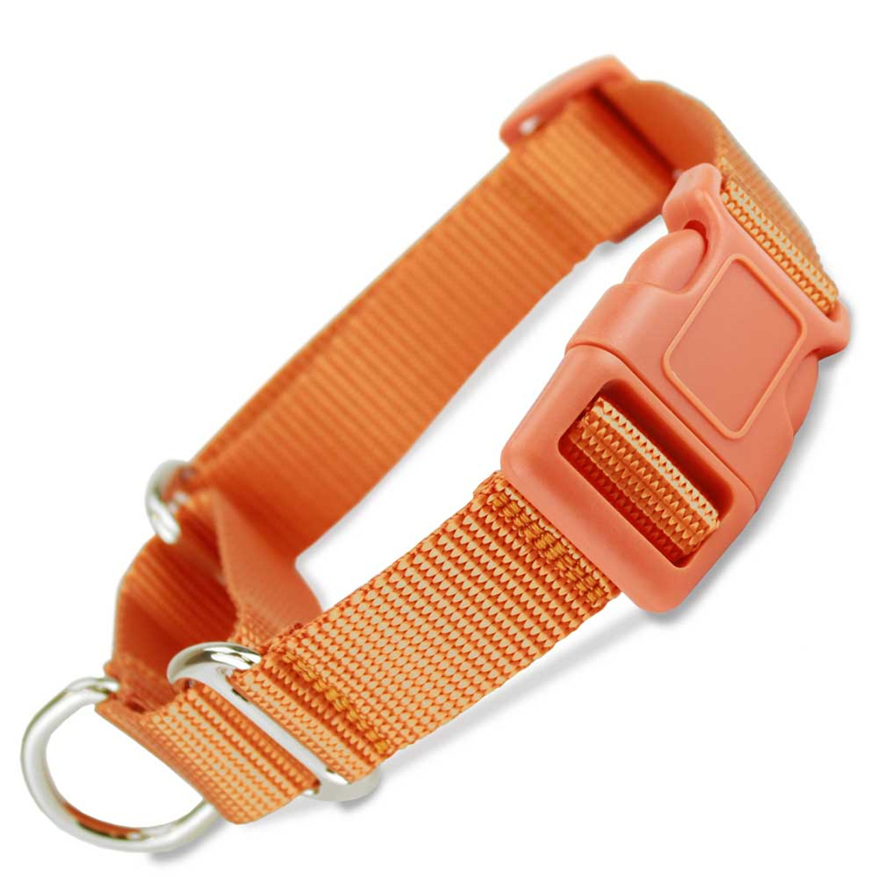 martingale with buckle