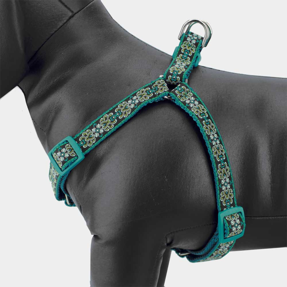 teal dog harness