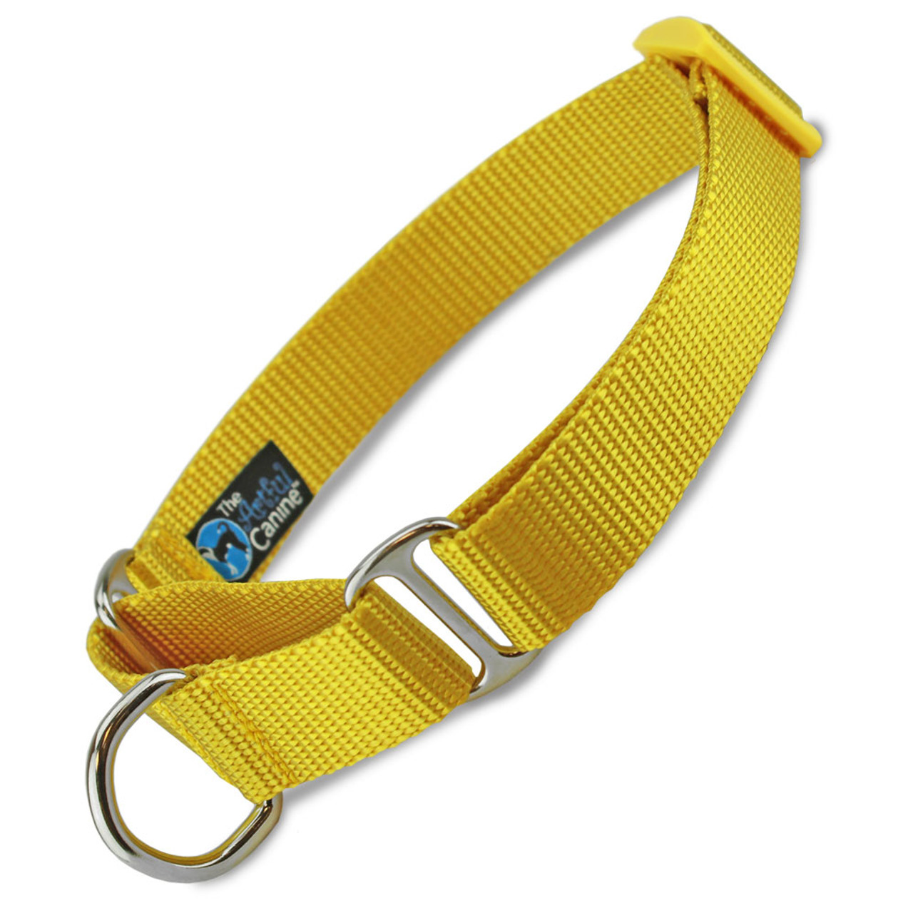 yellow dog leash