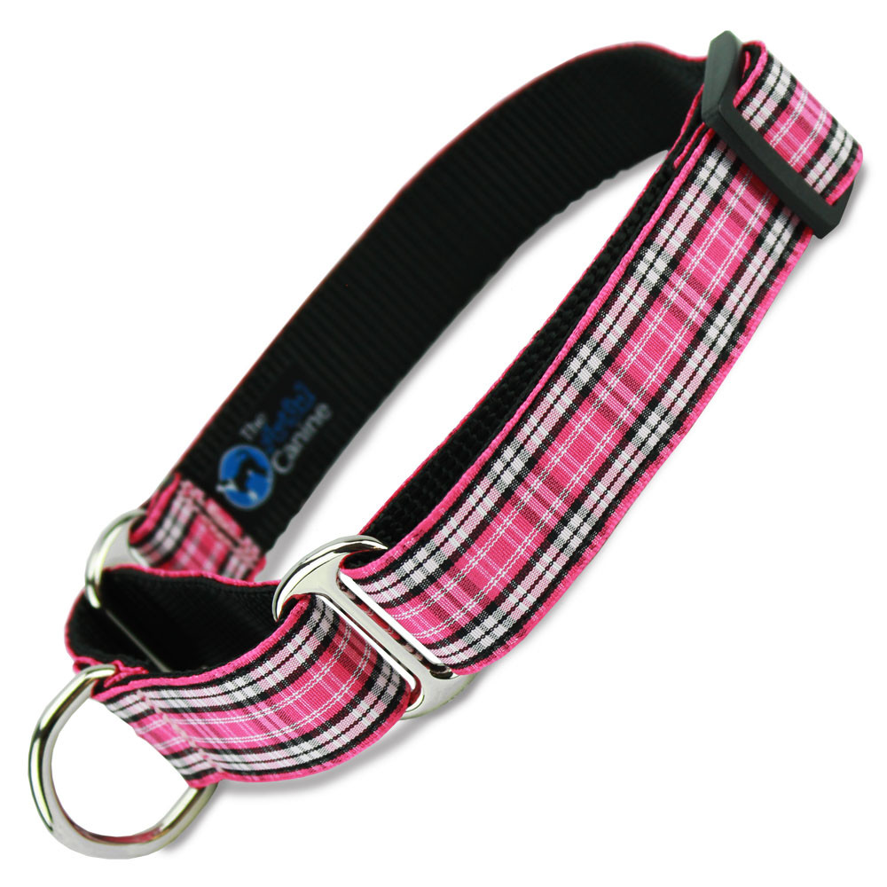 pink martingale collar