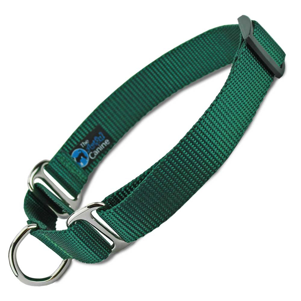 Green Nylon Martingale Collar Limited Slip Dog Collar