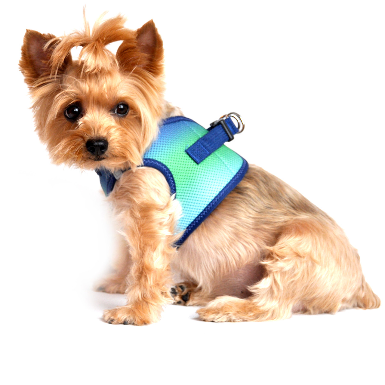 Choke Free Dog Harness for dogs under 15 lbs