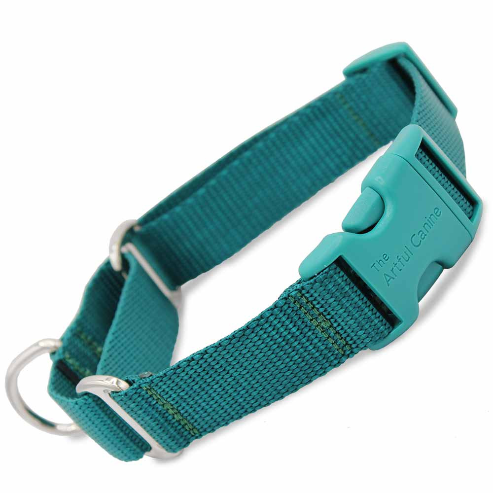 Martingale Collar with Buckle, Teal, Escape-proof dog collar