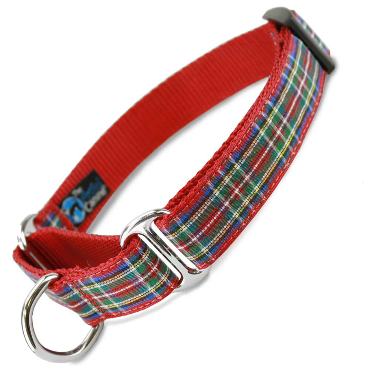 martingale dog collar