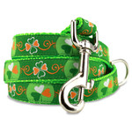 St Patrick Day Dog Leash, Irish, 4’, 5’, 6’ Long, D-ring, Nylon