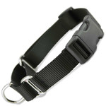 Black Buckle Martingale with black buckle