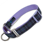 Highland tartan plaid martingale dog collar on lavender
