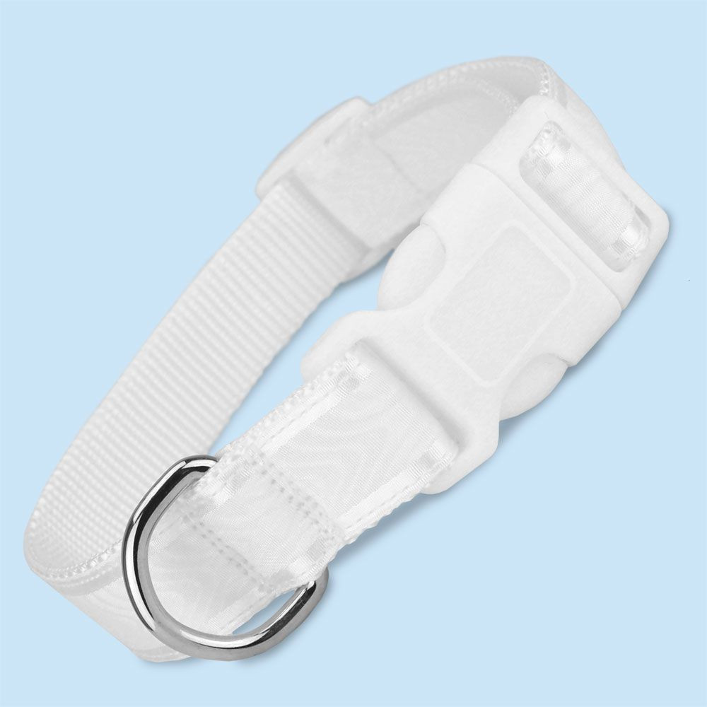 White Dog Collar, White Nylon Dog Collar