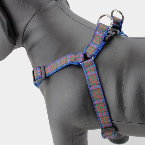 Plaid Step in Harness, Pride of Scotland Tartan, ChokeFree