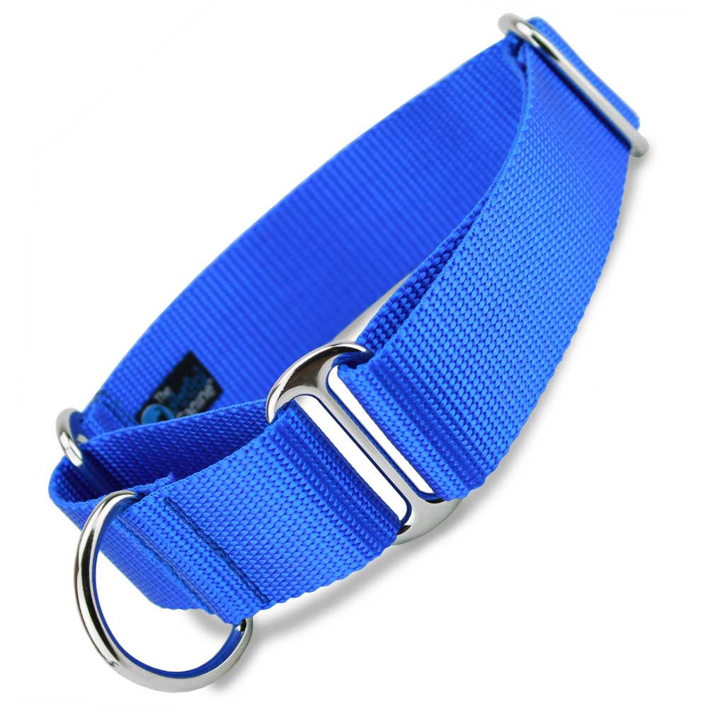 1.5" Wide Martingale Dog Collars for large breeds
