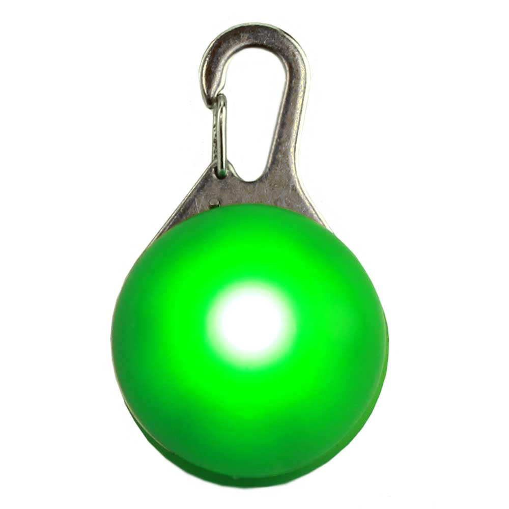 Paw Print LED Dog Tag for Small Dogs, Green