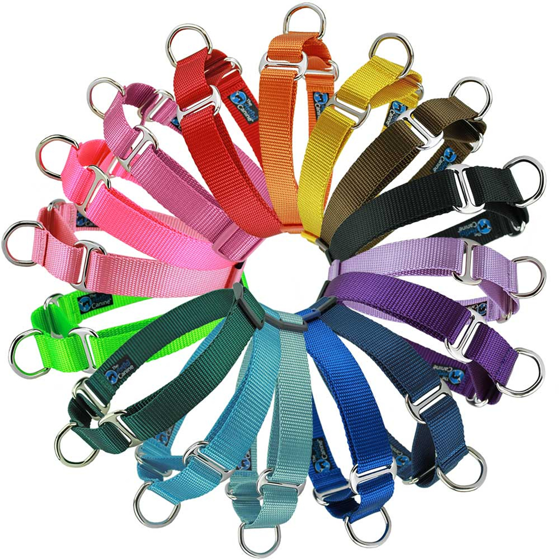 Custom Dog Collars at Unbeatable Prices Martingale & Quick Release Styles