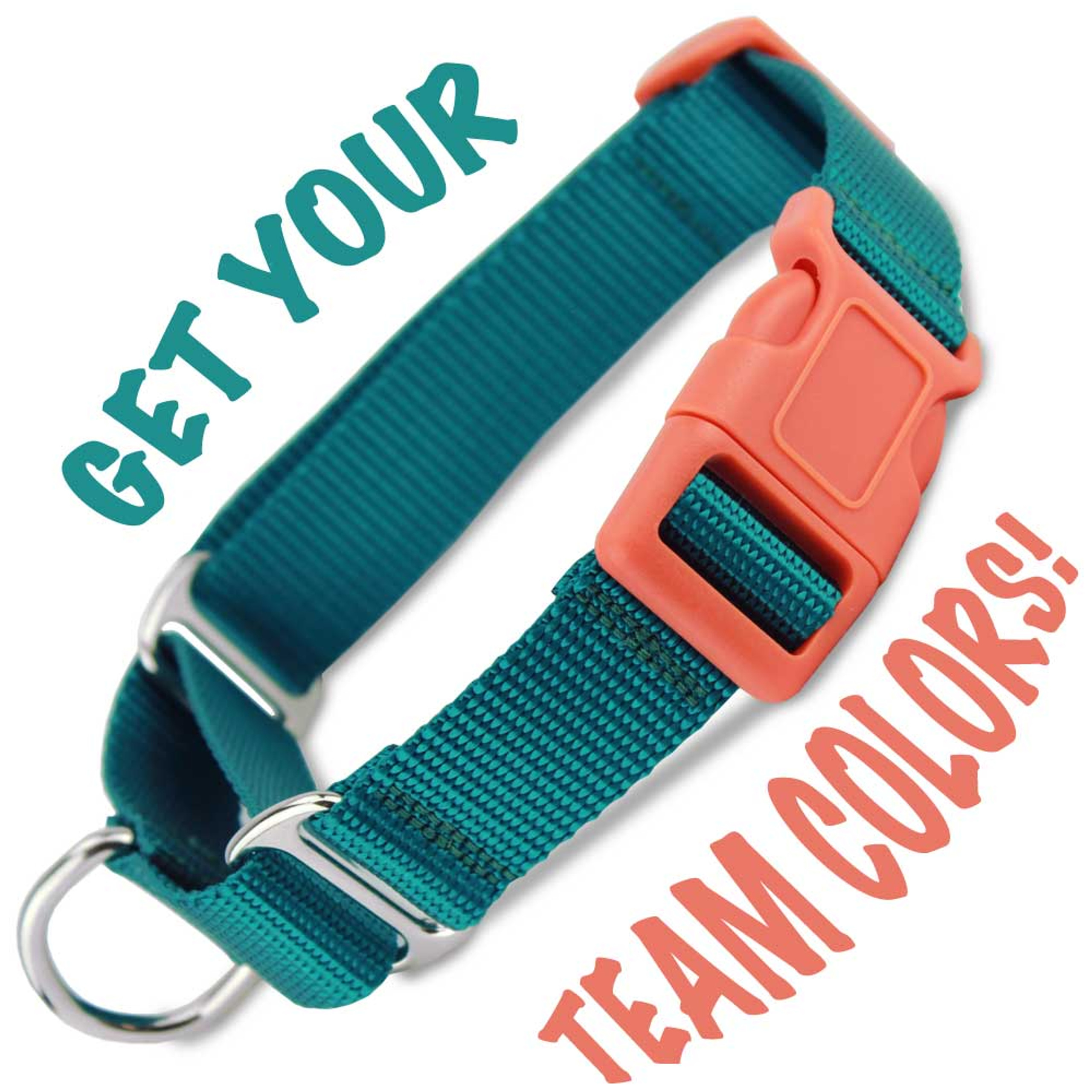 Custom Martingale Collar with Buckle & Chain Loop, Nylon